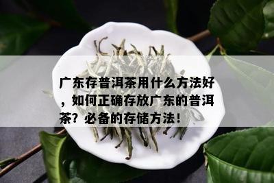 广东存普洱茶用什么方法好，如何正确存放广东的普洱茶？必备的存储方法！