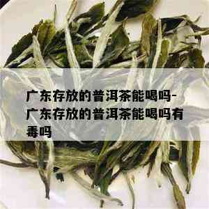 广东存放的普洱茶能喝吗-广东存放的普洱茶能喝吗有吗