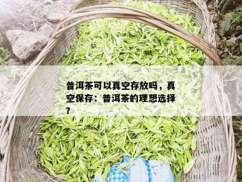 普洱茶可以真空存放吗，真空保存：普洱茶的理想选择？