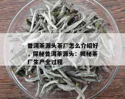 普洱茶源头茶厂怎么介绍好，探秘普洱茶源头：揭秘茶厂生产全过程