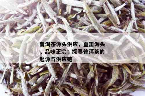 普洱茶源头供应，直击源头，品味正宗：探寻普洱茶的起源与供应链