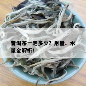 普洱茶一泡多少？用量、水量全解析！