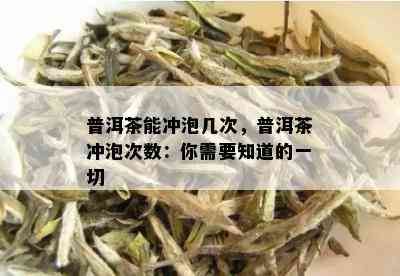 普洱茶能冲泡几次，普洱茶冲泡次数：你需要知道的一切