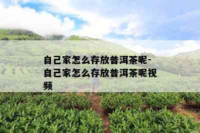 自己家怎么存放普洱茶呢-自己家怎么存放普洱茶呢视频