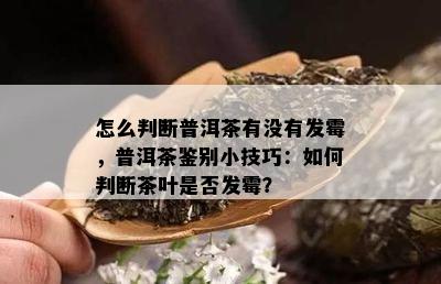 怎么判断普洱茶有没有发霉，普洱茶鉴别小技巧：如何判断茶叶是否发霉？