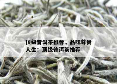 顶级普洱茶推荐，品味尊贵人生：顶级普洱茶推荐