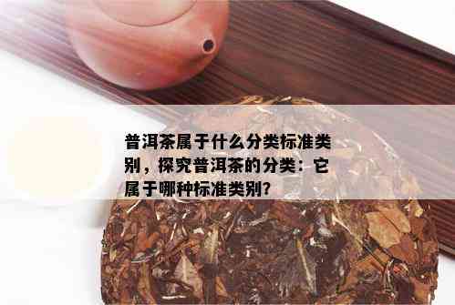 普洱茶属于什么分类标准类别，探究普洱茶的分类：它属于哪种标准类别？