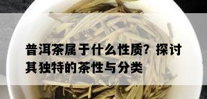 普洱茶属于什么性质？探讨其独特的茶性与分类