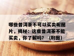 哪些普洱茶不可以买卖呢图片，揭秘：这些普洱茶不能买卖，你了解吗？（附图）