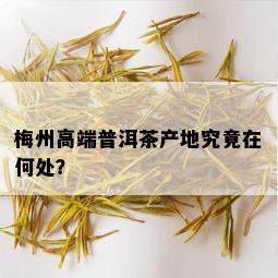 梅州高端普洱茶产地究竟在何处？