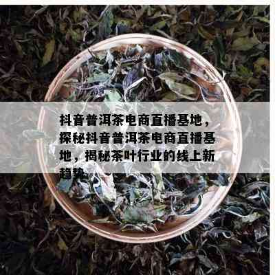 抖音普洱茶电商直播基地，探秘抖音普洱茶电商直播基地，揭秘茶叶行业的线上新趋势