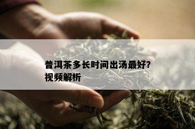 普洱茶多长时间出汤更好？视频解析