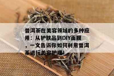 普洱茶在美容领域的多种应用：从护肤品到DIY面膜，一文告诉你如何利用普洱茶进行美容护理！