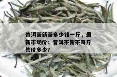 普洱茶新茶多少钱一斤，最新市场价：普洱茶新茶每斤售价多少？