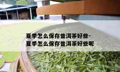 夏季怎么保存普洱茶好些-夏季怎么保存普洱茶好些呢