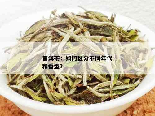 普洱茶：如何区分不同年代和香型？