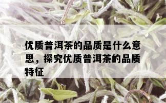 优质普洱茶的品质是什么意思，探究优质普洱茶的品质特征