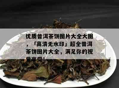 优质普洱茶饼图片大全大图，「高清无水印」超全普洱茶饼图片大全，满足你的视觉享受！