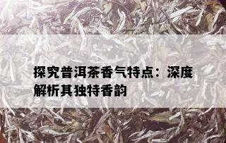 探究普洱茶香气特点：深度解析其独特香韵