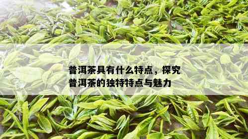 普洱茶具有什么特点，探究普洱茶的独特特点与魅力