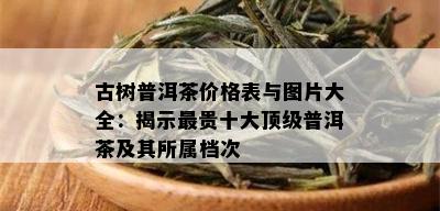 古树普洱茶价格表与图片大全：揭示最贵十大顶级普洱茶及其所属档次