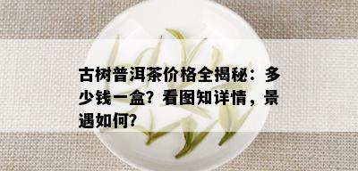 古树普洱茶价格全揭秘：多少钱一盒？看图知详情，景遇如何？