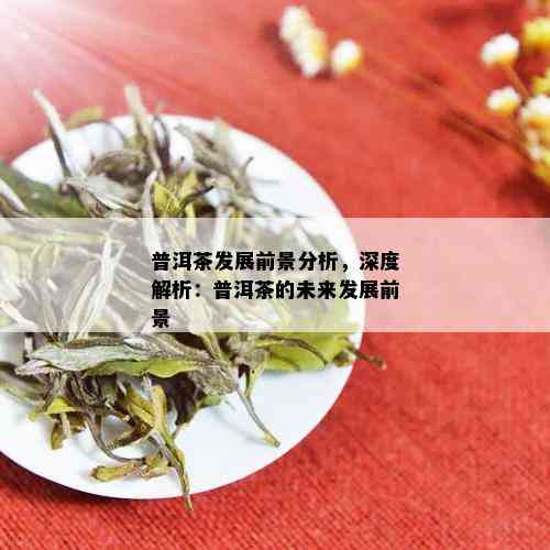 普洱茶发展前景分析，深度解析：普洱茶的未来发展前景