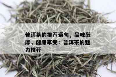 普洱茶的推荐语句，品味醇厚，健康享受：普洱茶的魅力推荐