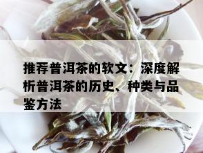 推荐普洱茶的软文：深度解析普洱茶的历史、种类与品鉴方法