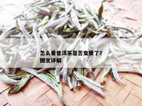 怎么看普洱茶是否变质了？图文详解