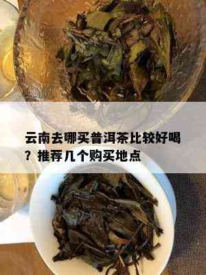 云南去哪买普洱茶比较好喝？推荐几个购买地点