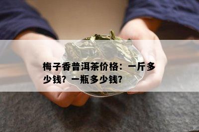 梅子香普洱茶价格：一斤多少钱？一瓶多少钱？