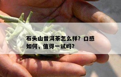 石头山普洱茶怎么样？口感如何，值得一试吗？