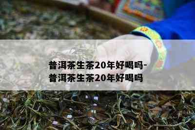 普洱茶生茶20年好喝吗-普洱茶生茶20年好喝吗