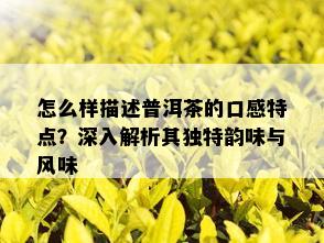 怎么样描述普洱茶的口感特点？深入解析其独特韵味与风味