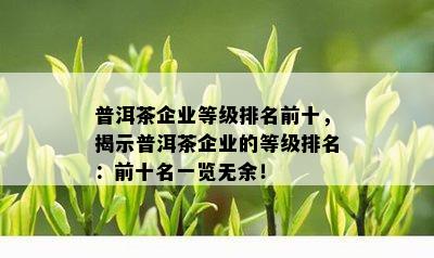 普洱茶企业等级排名前十，揭示普洱茶企业的等级排名：前十名一览无余！