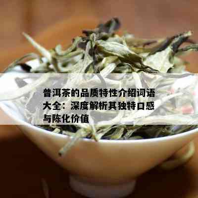 普洱茶的品质特性介绍词语大全：深度解析其独特口感与陈化价值