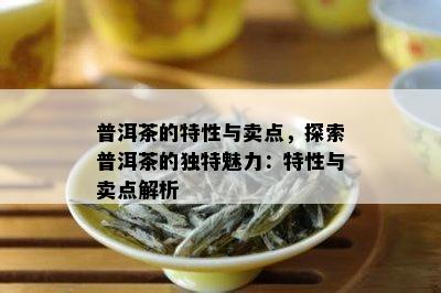 普洱茶的特性与卖点，探索普洱茶的独特魅力：特性与卖点解析