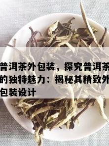 普洱茶外包装，探究普洱茶的独特魅力：揭秘其精致外包装设计