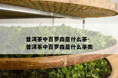 普洱茶中百罗森是什么茶-普洱茶中百罗森是什么茶类