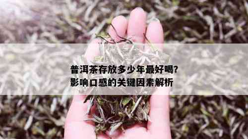 普洱茶存放多少年更好喝？影响口感的关键因素解析