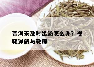 普洱茶及时出汤怎么办？视频详解与教程