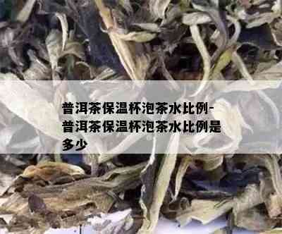 普洱茶保温杯泡茶水比例-普洱茶保温杯泡茶水比例是多少