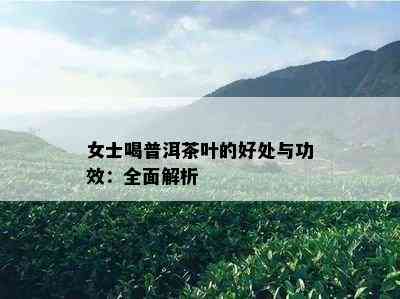 女士喝普洱茶叶的好处与功效：全面解析