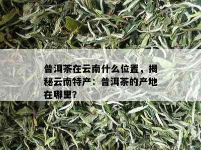 普洱茶在云南什么位置，揭秘云南特产：普洱茶的产地在哪里？