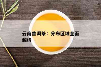 云南普洱茶：分布区域全面解析