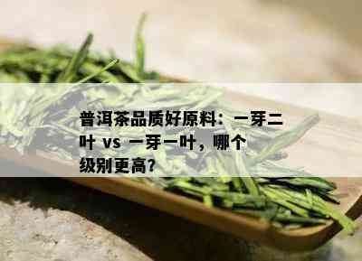 普洱茶品质好原料：一芽二叶 vs 一芽一叶，哪个级别更高？