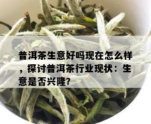 普洱茶生意好吗现在怎么样，探讨普洱茶行业现状：生意是否兴隆？