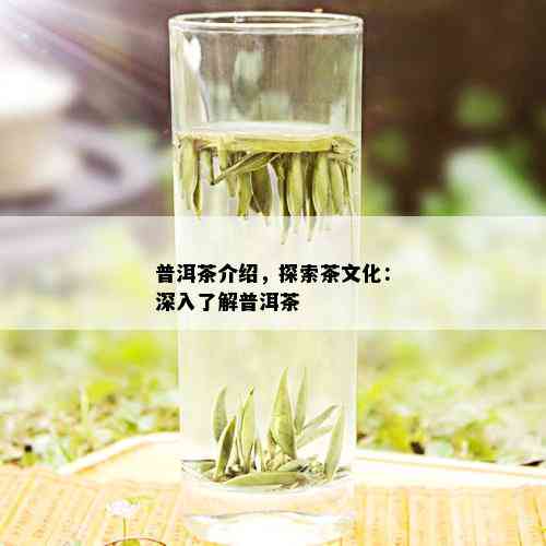 普洱茶介绍，探索茶文化：深入了解普洱茶