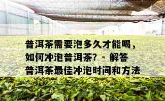 普洱茶需要泡多久才能喝，如何冲泡普洱茶？- 解答普洱茶更佳冲泡时间和方法